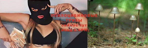 мяу мяу мука Балахна