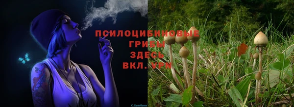 кокаин перу Арсеньев
