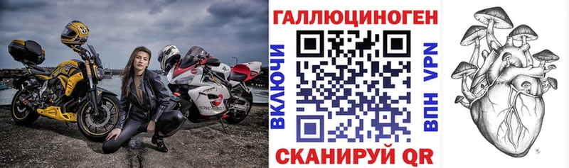 Псилоцибиновые грибы Psilocybine cubensis  блэк спрут ссылки  Комсомольск 